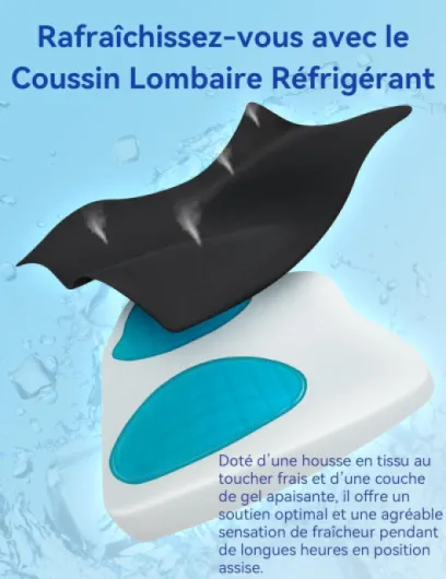 Coussin de Soutien Lombaire Ergonomique, Support Dorsal en Gel Mousse à Mémoire pour Voiture Chaise de Bureau, Dossier avec Revêtement Antistatique et Double Sangles Réglables, Noir Gel Noir