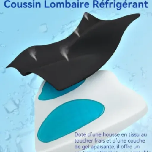 Test Travel Ease Coussin de Soutien Lombaire : le dossier qui calme (un peu) le dos en voiture et au bureau