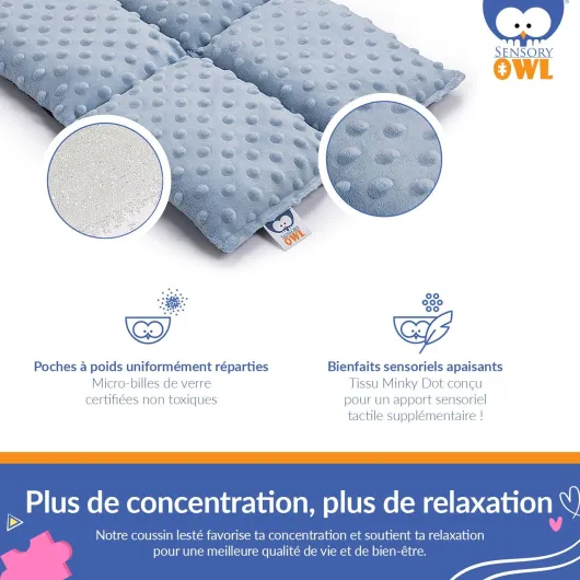 Coussin Lesté Coussin Pondéré pour Genoux Thérapeutique en Coton Tissu Minky pour Enfants Adultes Réduction du Stress 30 x 40 cm 4 kg Rouge Cerise Roungecerise 4kg