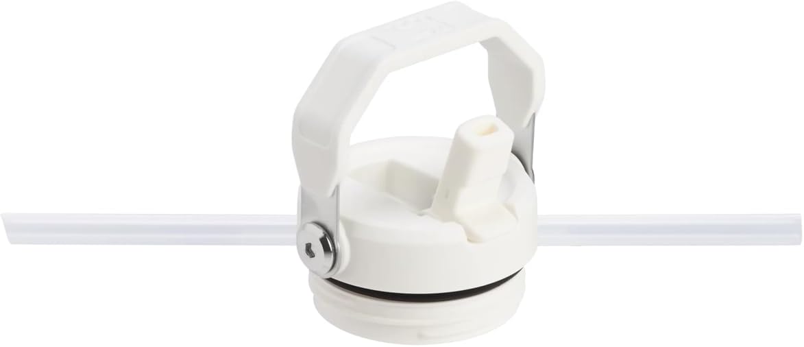 1913 Flip Straw 2.0 Gourde Isotherme Avec Paille 1.06L - 15 Heures Froide - 3 Jours Glacée - Acier Inoxydable - Sans BPA - Etanche - Lavable Au Lave-Vaisselle - Thermos - Frost 1060 ml Frost